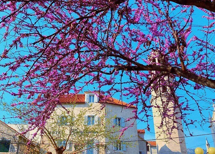 Benjamin Hotel Kaštela